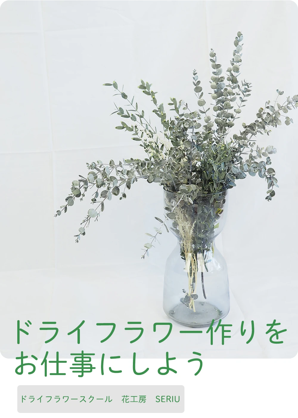 ドライフラワー作りをお仕事にしよう